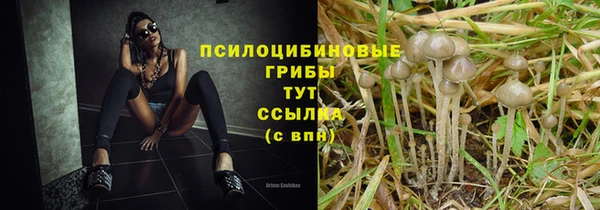 бошки Нязепетровск